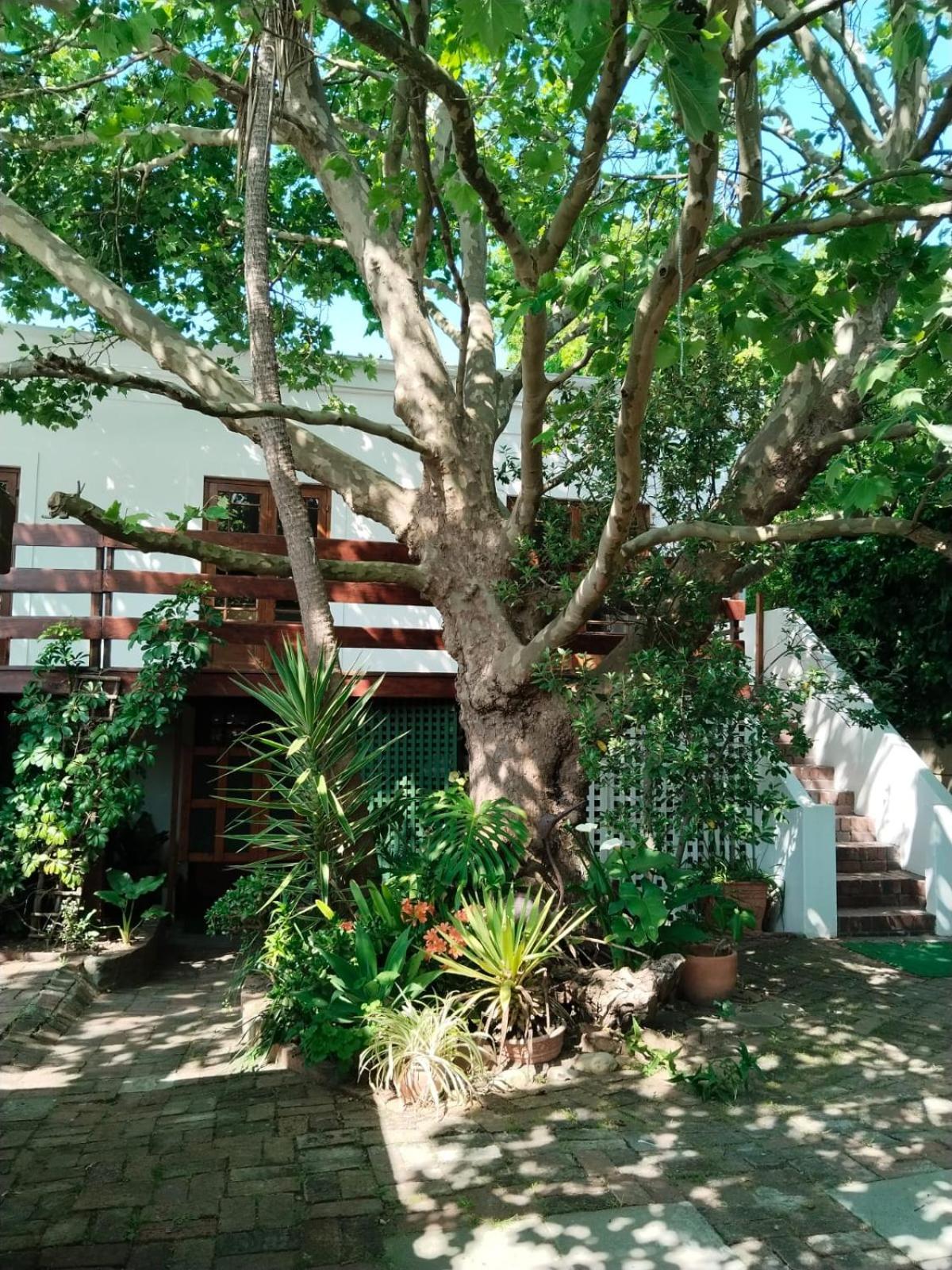 Restful Tree House In Little Mowbray *